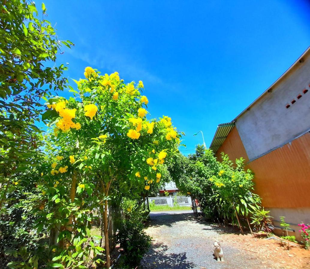 Cat Tien Backpackers Hostel المظهر الخارجي الصورة